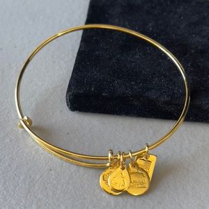 Alex and Ani Team USA Expandable Wire Bangle Bracelet GoldTone